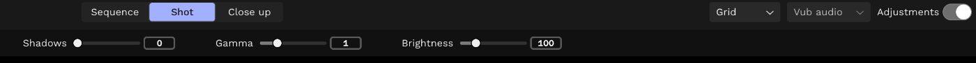 Review toolbar with Adjustments turned on, showing the Shadows, Gamma and Brightness controls