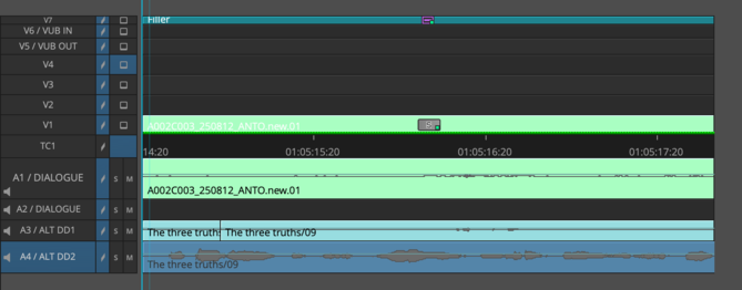 avid-multiDD1a-timeline